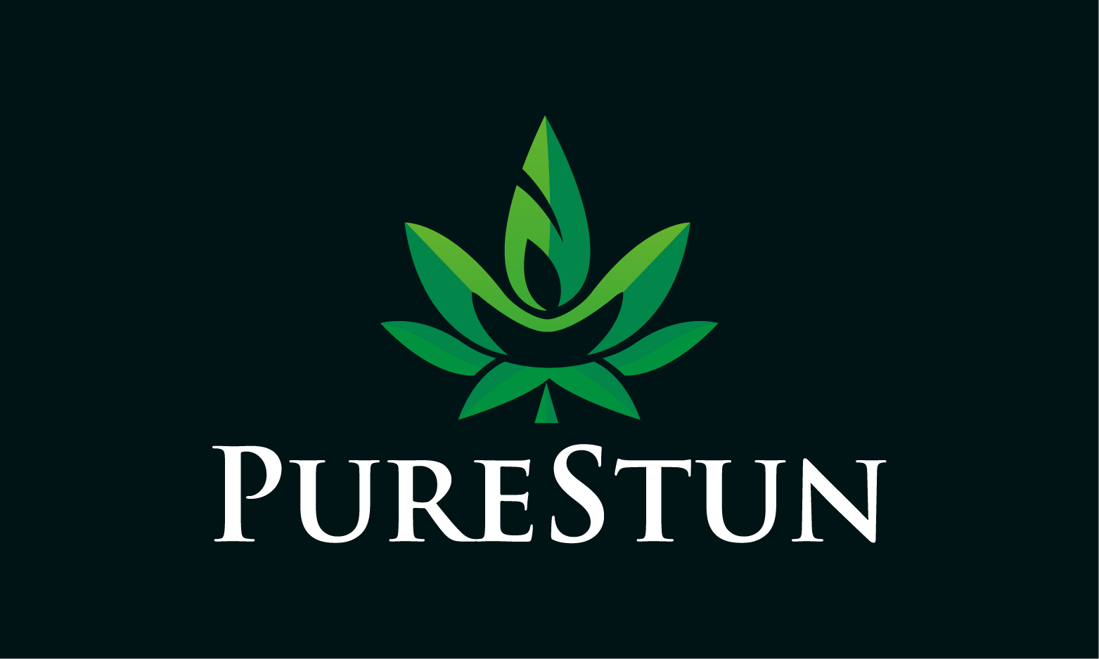 PureStun.com - Best premium domains
